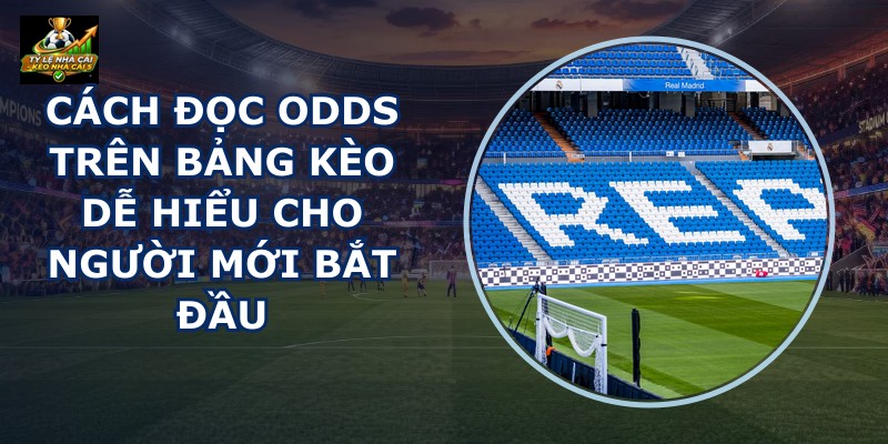 Cách Đọc Odds Trên Bảng Kèo